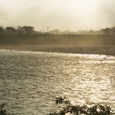 朝靄と朝日にきらめく川面 　の写真