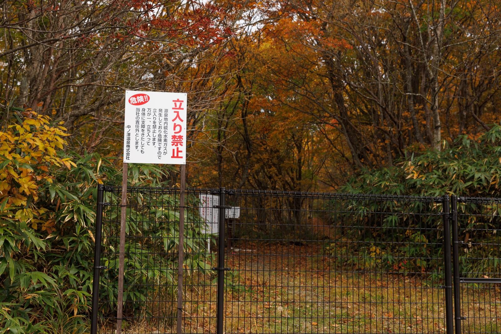 「紅葉の中の安全対策、沼尻登山口の立入禁止看板と柵」の写真