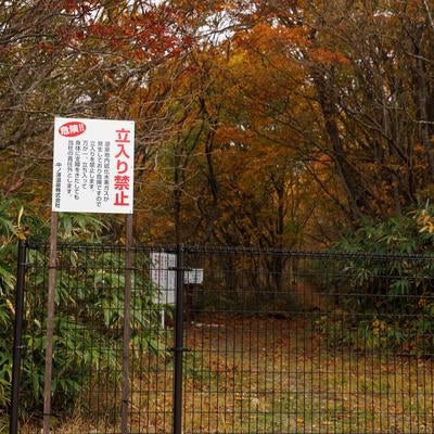紅葉の中の安全対策、沼尻登山口の立入禁止看板と柵の写真