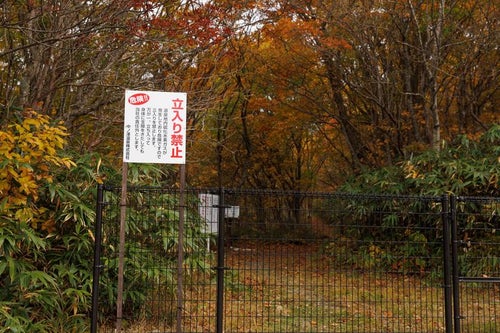 紅葉の中の安全対策、沼尻登山口の立入禁止看板と柵の写真
