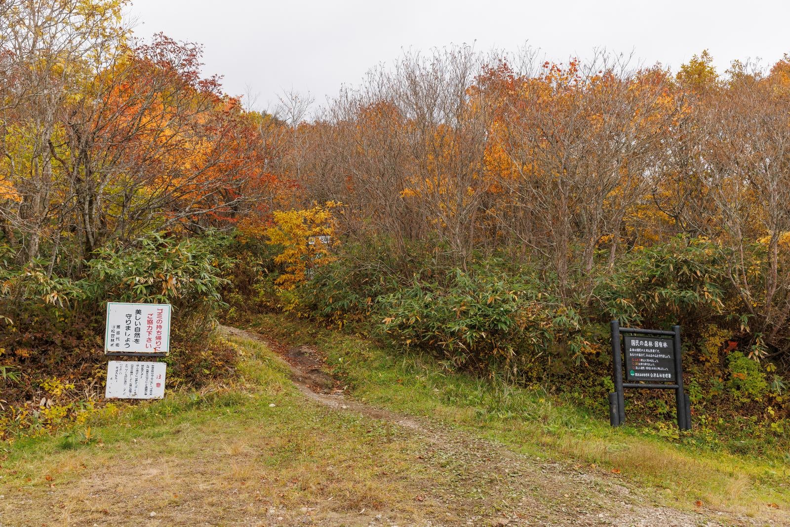 「沼尻ルートからの秋の紅葉、安達太良山登山の始まり」の写真