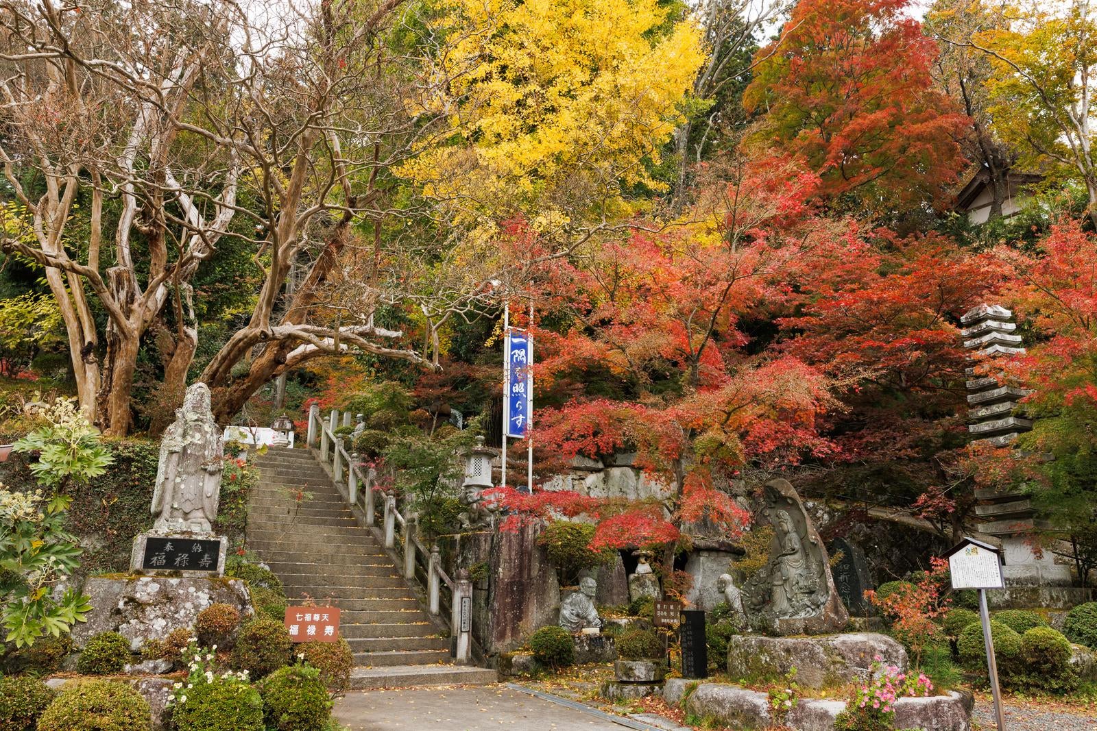 「岩角寺の秋、紅葉が彩る階段と境内」の写真