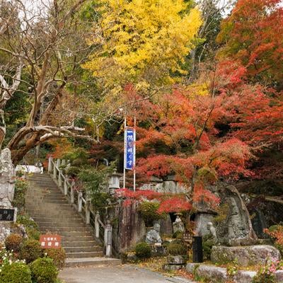 岩角寺の秋、紅葉が彩る階段と境内の写真