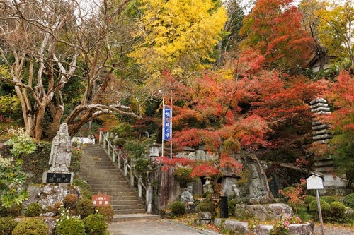 岩角寺の秋、紅葉が彩る階段と境内の写真