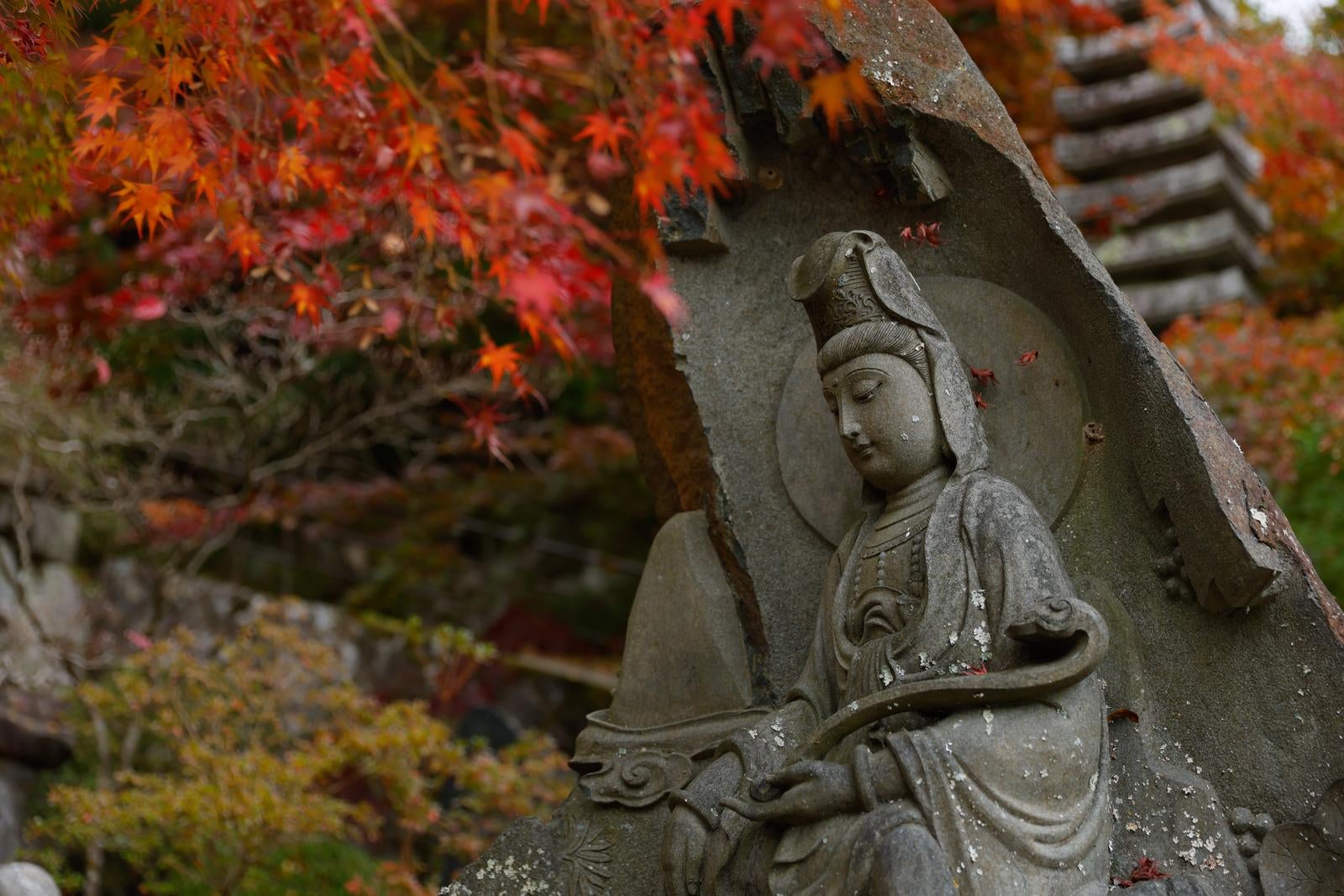 「岩角寺の秋の風情、仏像と紅葉が織りなす静寂（岩角寺）」の写真