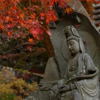 岩角寺の秋の風情、仏像と紅葉が織りなす静寂（岩角寺）の写真