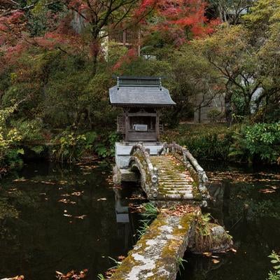 心の池が映す岩角寺の境内の写真