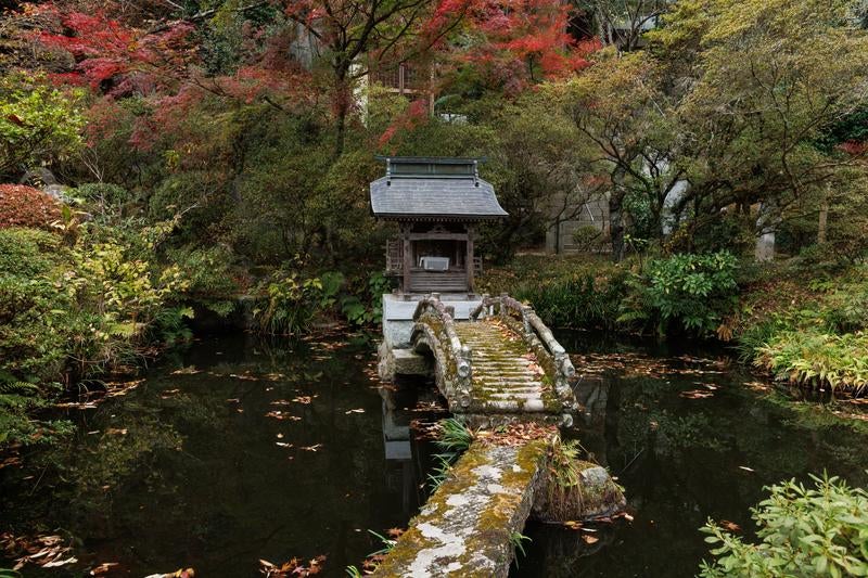 心の池が映す岩角寺の境内の写真