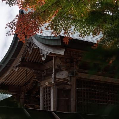 紅葉が織り成す三春大神宮の写真