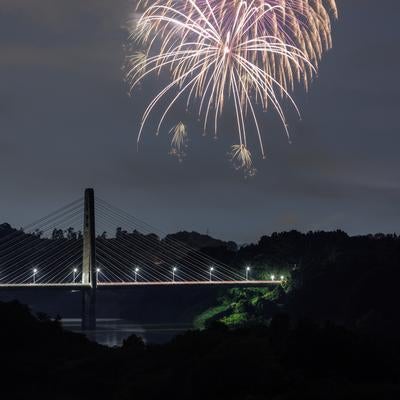 夜空を照らす三春の花火の写真