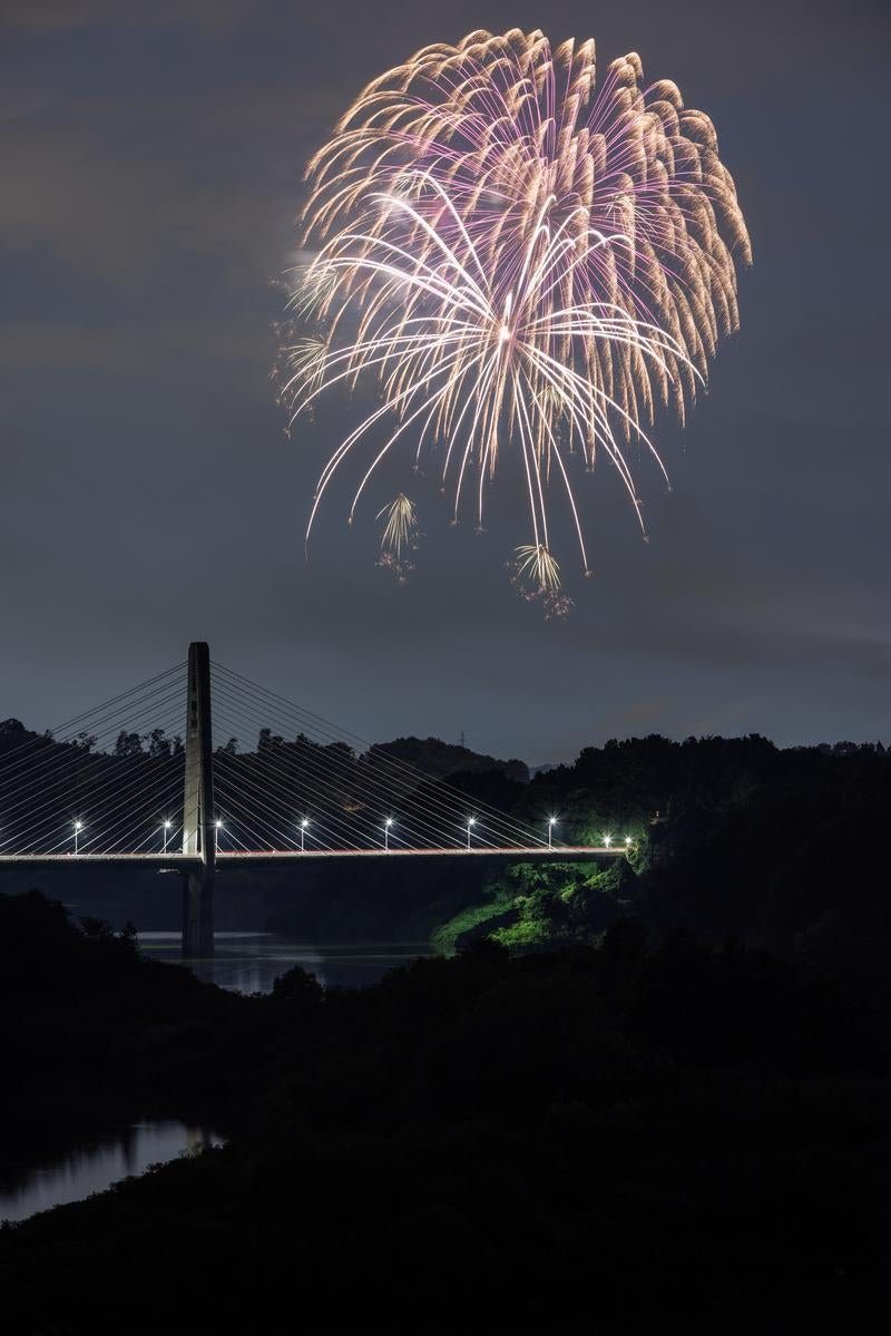 「夜空を照らす三春の花火」の写真