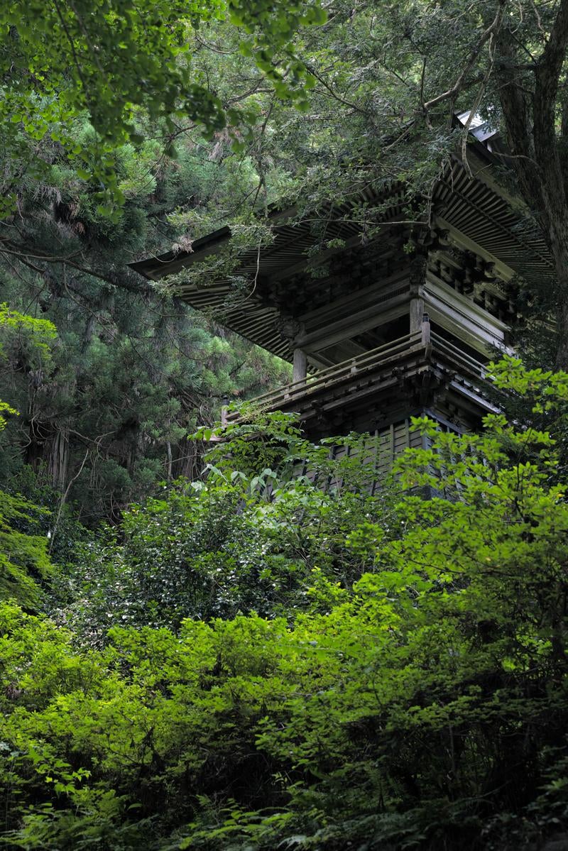「東堂山満福寺の静かな境内と鐘楼」の写真