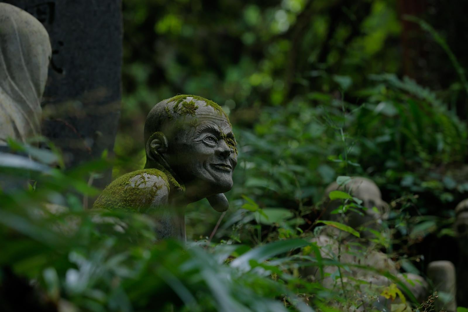 「草影から境内を眺める羅漢の石像」の写真