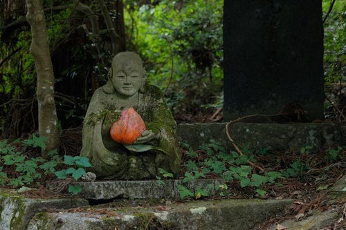 東堂山満福寺参道脇の羅漢石像の写真
