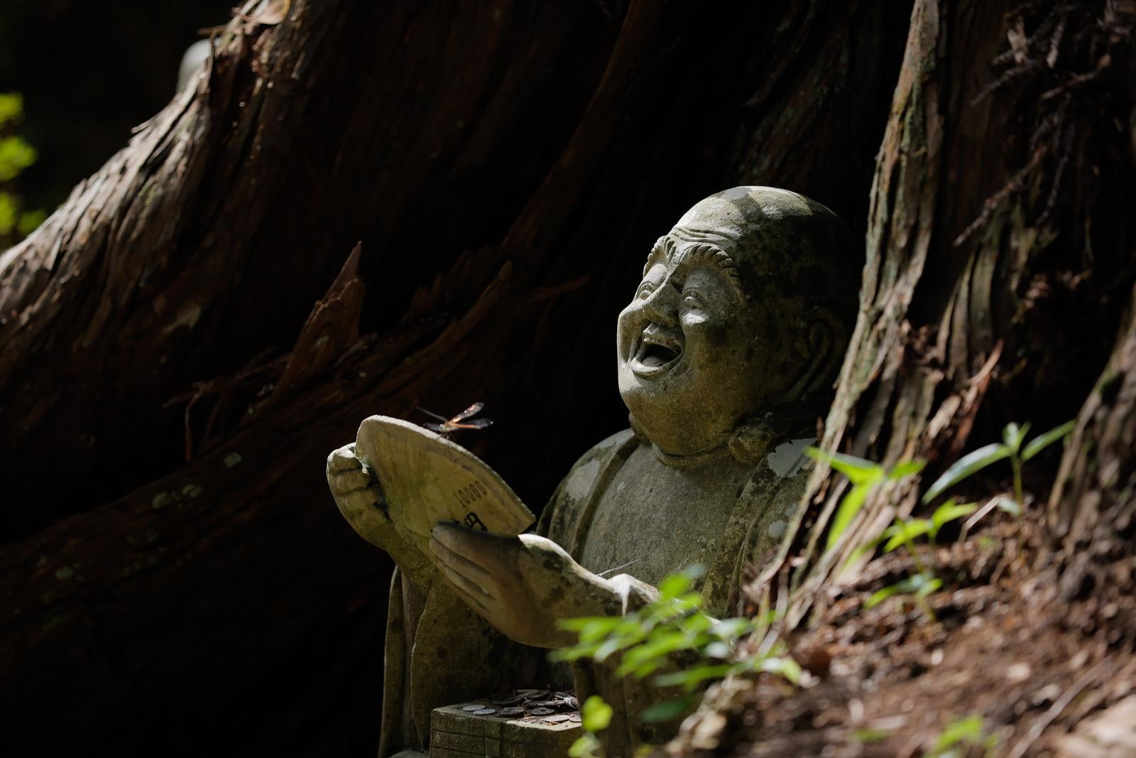 「木漏れ日に照らされる羅漢の石像」の写真