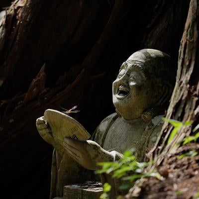木漏れ日に照らされる羅漢の石像の写真