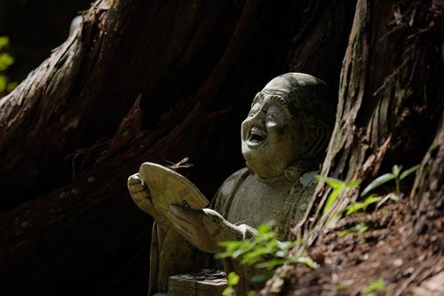 木漏れ日に照らされる羅漢の石像の写真