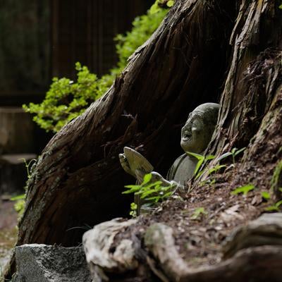 羅漢石像と共に感じる東堂山満福寺の写真