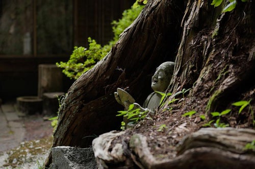 羅漢石像と共に感じる東堂山満福寺の写真