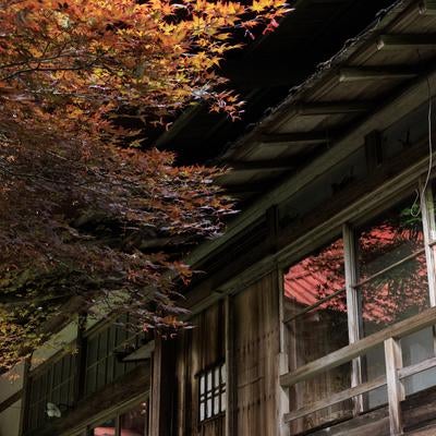 色付く紅葉と東堂山満福寺の写真