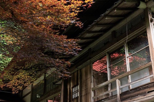色付く紅葉と東堂山満福寺の写真