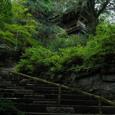 東堂山満福寺、石段上の鐘楼と平穏の写真
