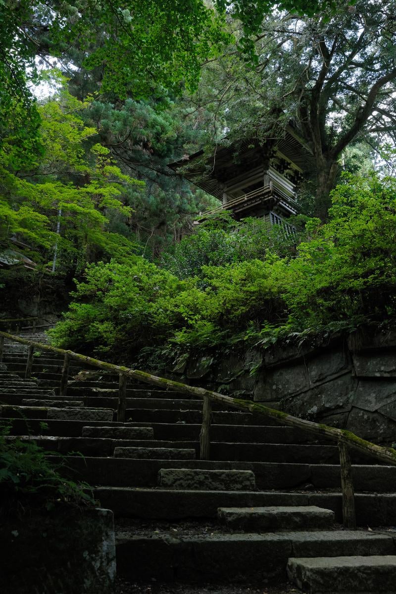 「東堂山満福寺、石段上の鐘楼と平穏」の写真