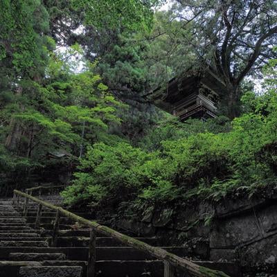東堂山満福寺、石段の上の鐘楼の写真