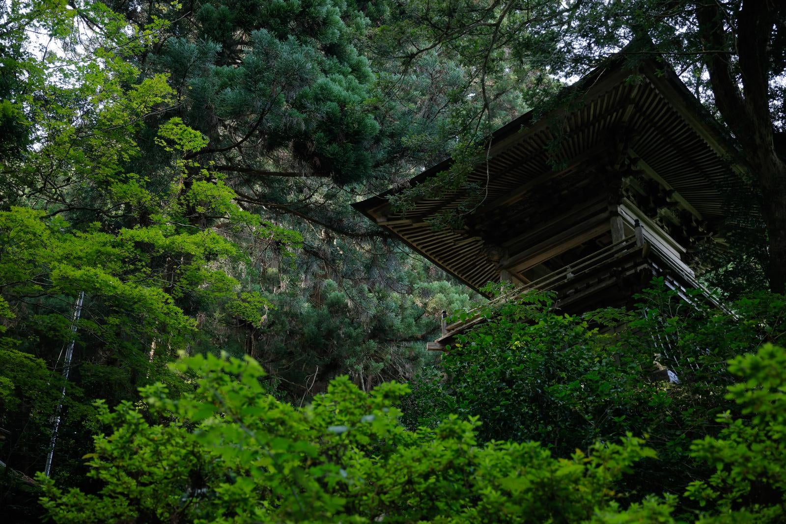 「鐘楼と東堂山満福寺の静かな境内」の写真