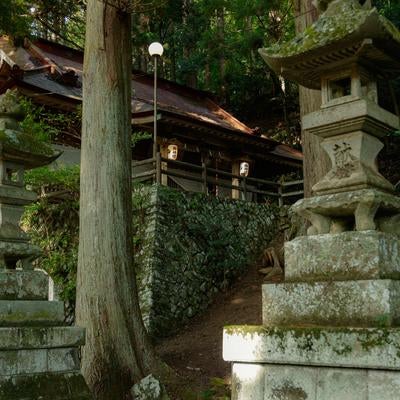 豊かな自然に囲まれた古殿八幡神社の写真