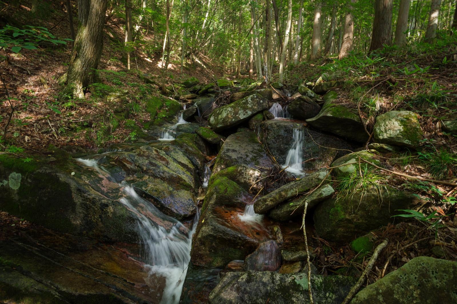 「苔むす岩肌と清流の詩と東野の自然」の写真