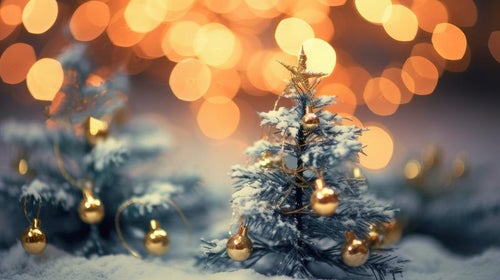 街明かりのライトアップとクリスマスツリーの様子の写真