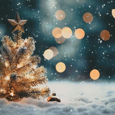 キラキラライトアップのクリスマスツリーの写真