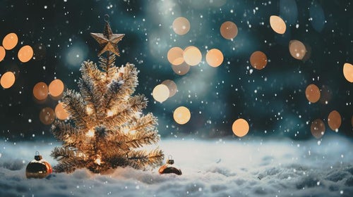 キラキラライトアップのクリスマスツリーの写真