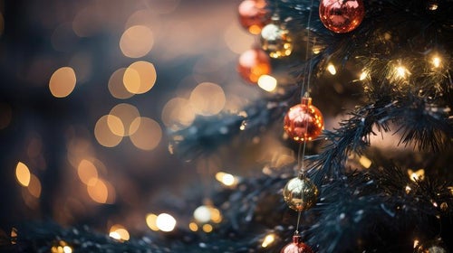クリスマスツリーとライトアップの点灯の写真