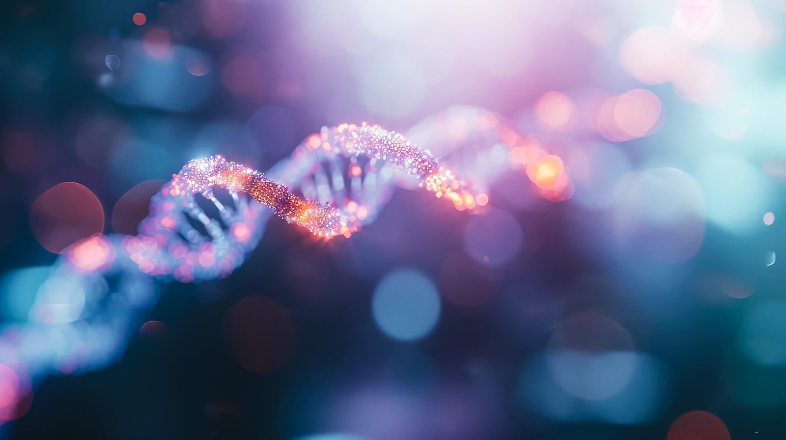 「染色体DNA風」の写真