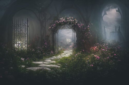 異世界への扉を開ける妖精の門の写真