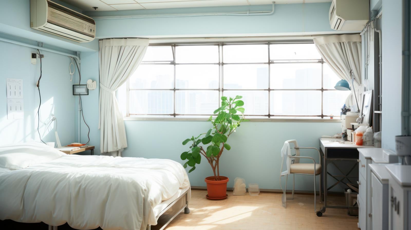 「病室のベッドと観葉植物」の写真