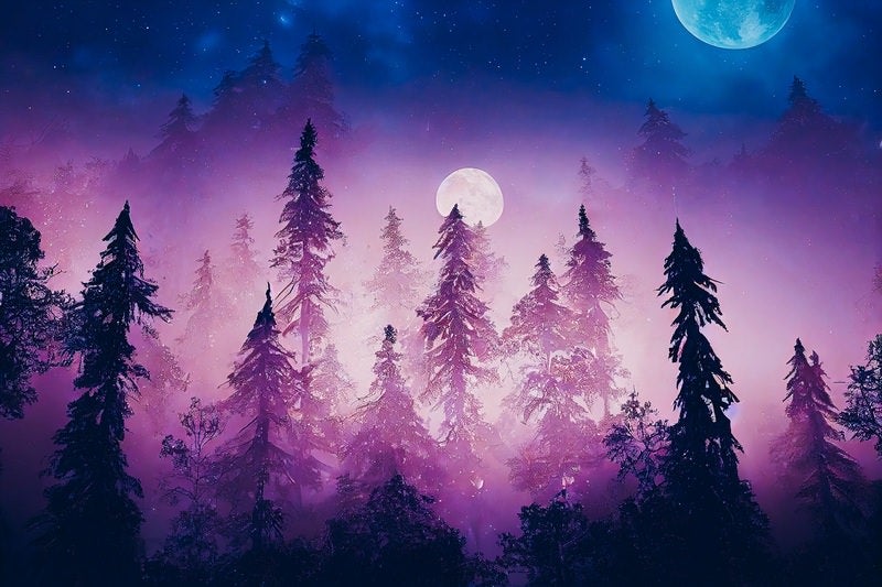 二つの月と夜の森の写真