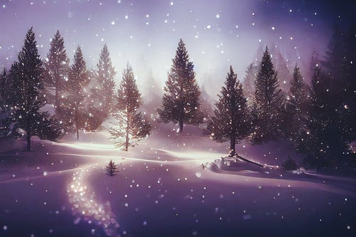 モミノキに舞い散る雪の写真