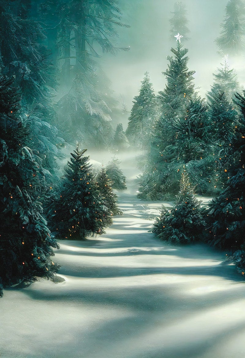 「霧がかる森の雪面」の写真