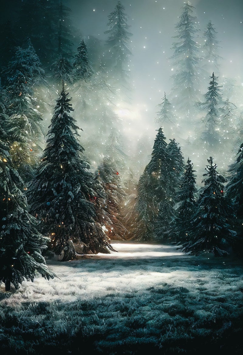 「雪が舞うモミの木の深い森」の写真