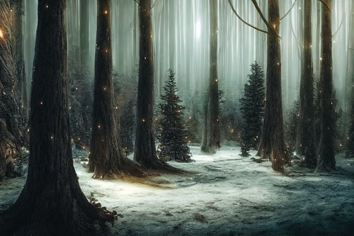 光が舞うどこまでも続く冬の森の写真