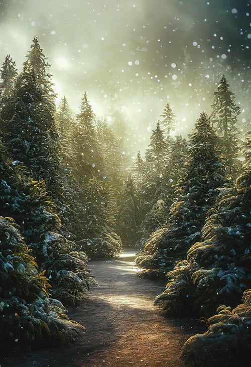 舞い散る雪に光が反射するモミの木の森の写真