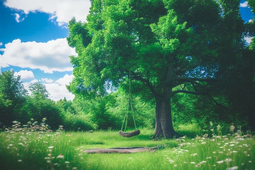 緑溢れる公園のブランコの写真