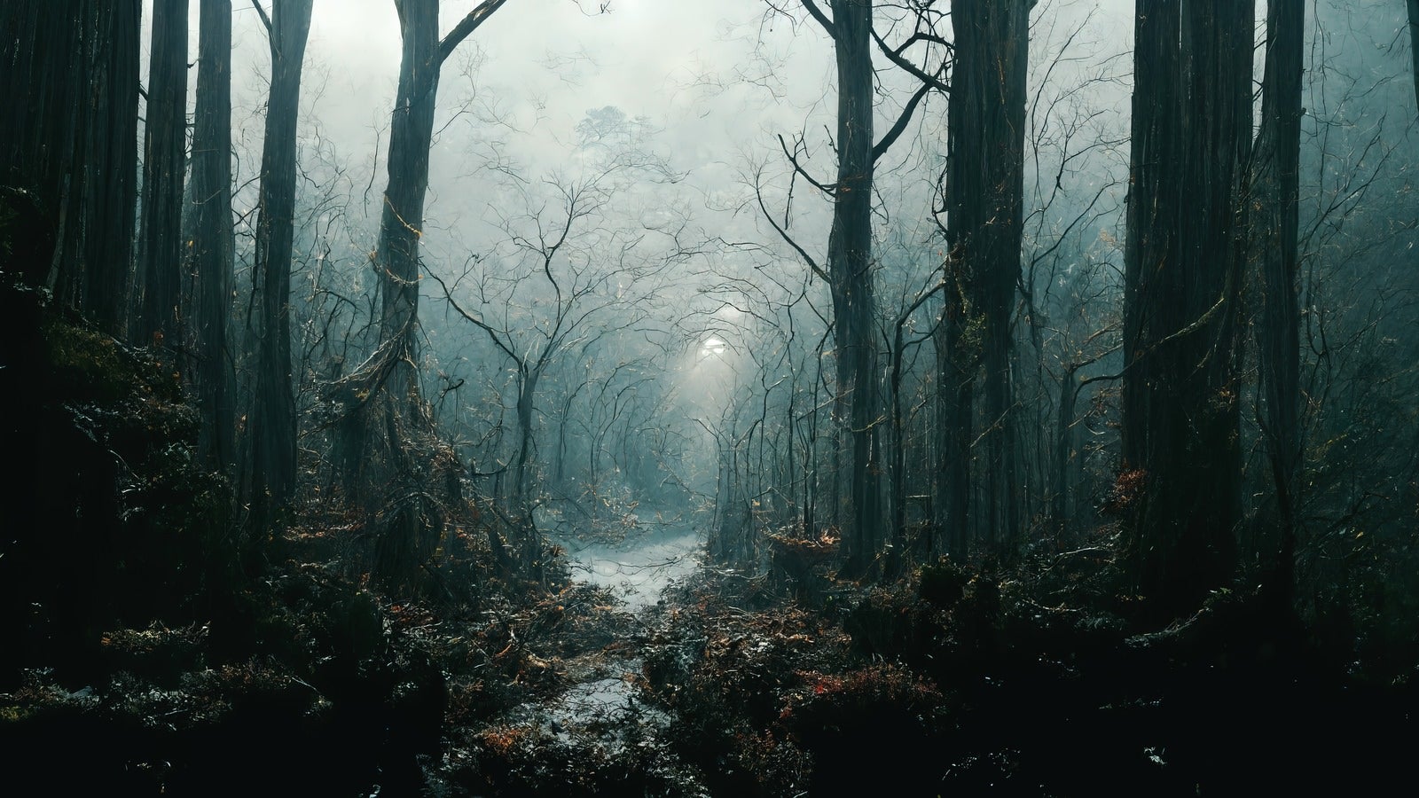 「霧に飲まれた立ち枯れの森」の写真