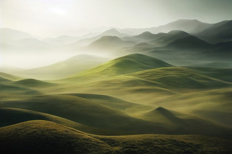 自然の奏でる丘と朝靄のハーモニーの写真