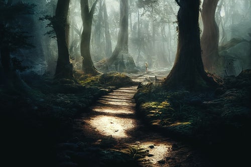 霧の中に進む森の小道の写真