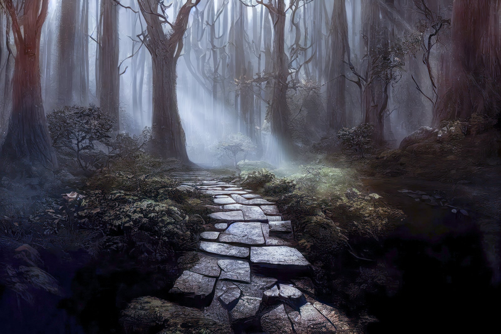 「霧が流れ込む森と石畳」の写真