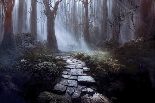 霧が流れ込む森と石畳の写真